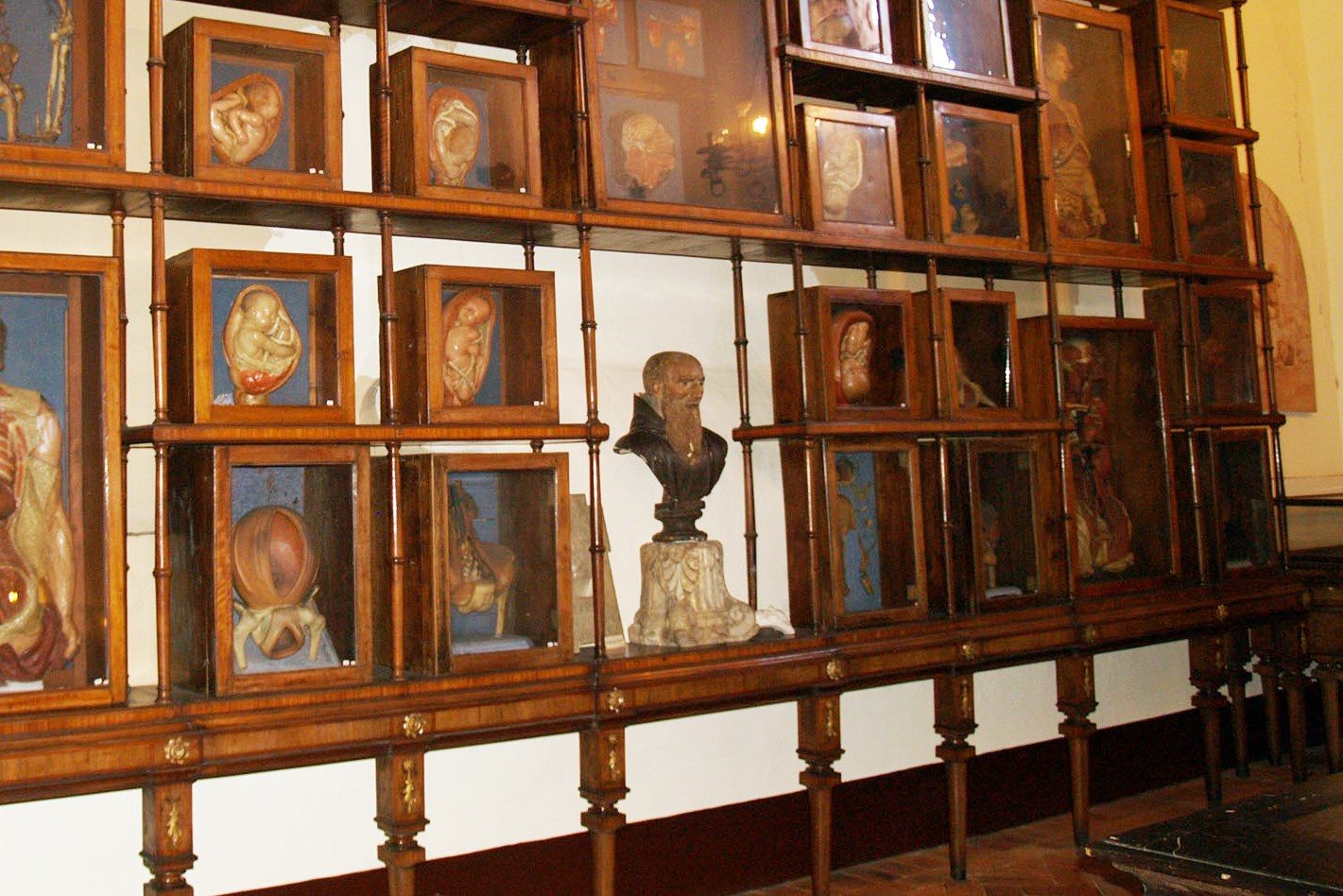 Cesare Magati's bust (copy), Museo Storico Nazionale dell'Arte Sanitaria, Roma - 01.jpg